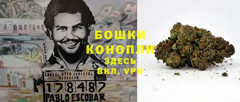 где продают   Ялта  Конопля OG Kush 